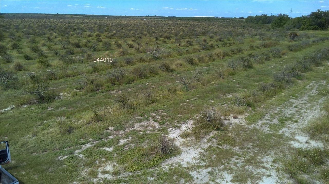 Lawrence Stewart Road, Frostproof, FL 33843 Photo