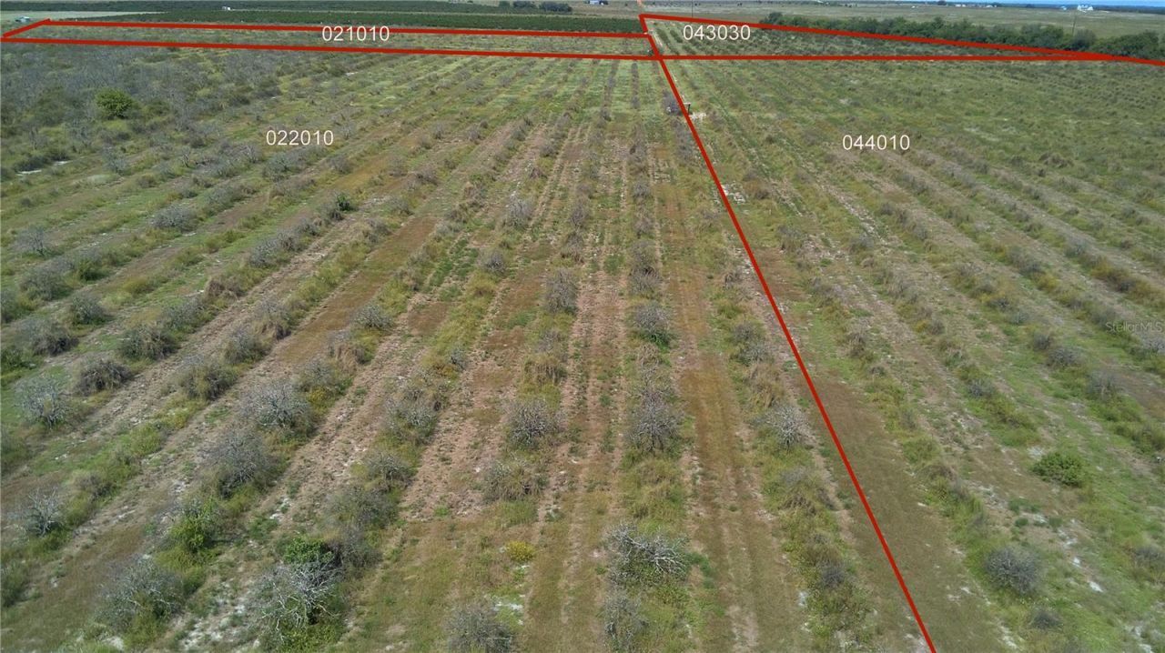 Lawrence Stewart Road, Frostproof, FL 33843 Photo