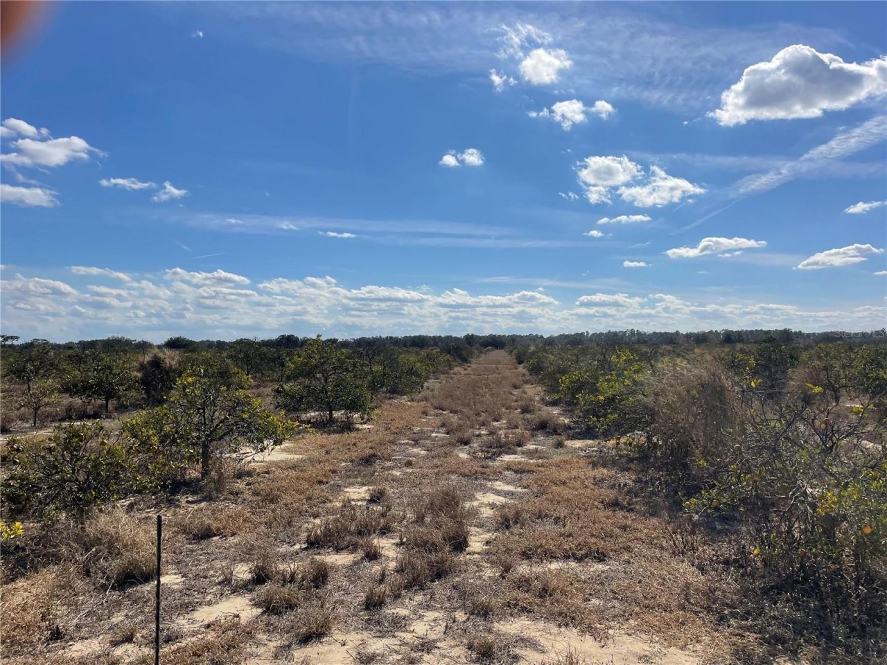 Lawrence Stewart Road, Frostproof, FL 33843 Photo