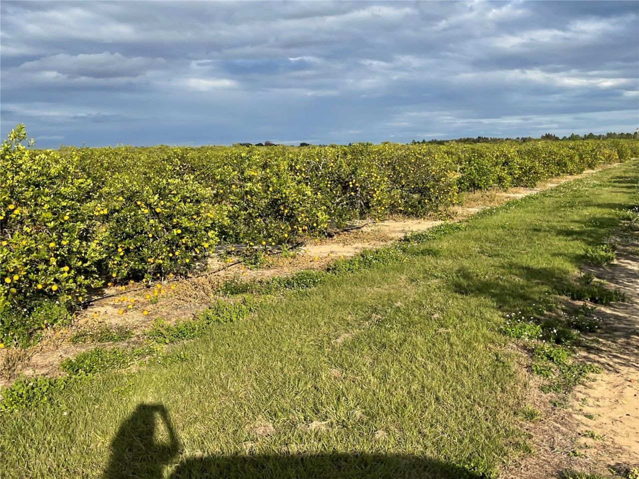Lawrence Stewart Road, Frostproof, FL 33843 Photo