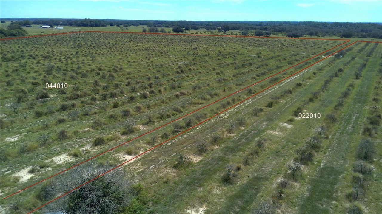 Lawrence Stewart Road, Frostproof, FL 33843 Photo