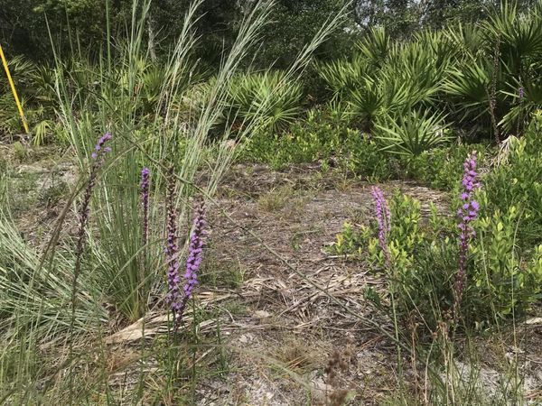 0 SUMMIT Road, Satsuma, FL 32189