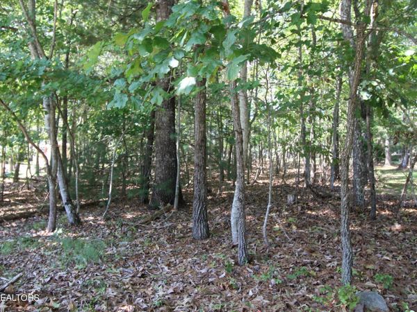 105 Wilbourn Drive, Fairfield Glade, TN 38558