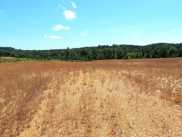 209 Hugh White State Park Road, Grenada, MS 38901