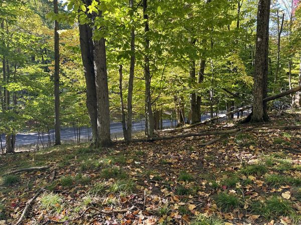 115 Doe Path Place, Gaylord, MI 49735