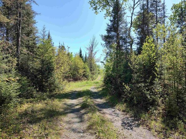 74 Acres US41 Highway, Covington Twp, MI 49919