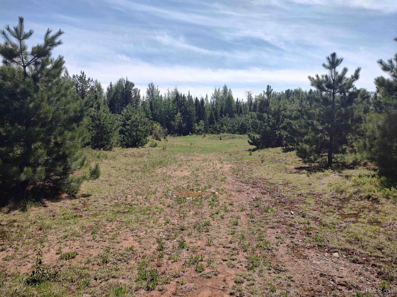 58 Acres Co Rd Fn Road, Humboldt Twp, MI 49814 Main Photo
