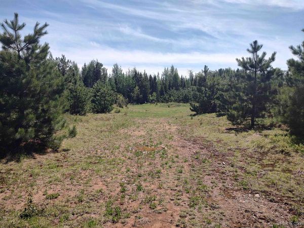 58 Acres Co RD FN Road, Humboldt Twp, MI 49814
