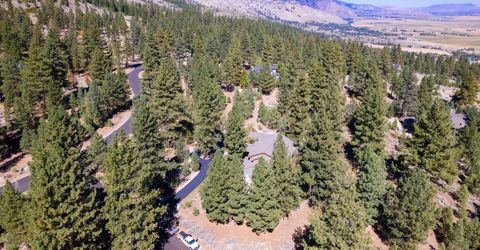 210 Sheridan Creek Court, Gardnerville, NV 89460 Photo