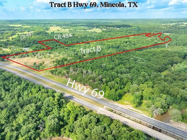 Tract B Hwy 69, Mineola, TX 75773
