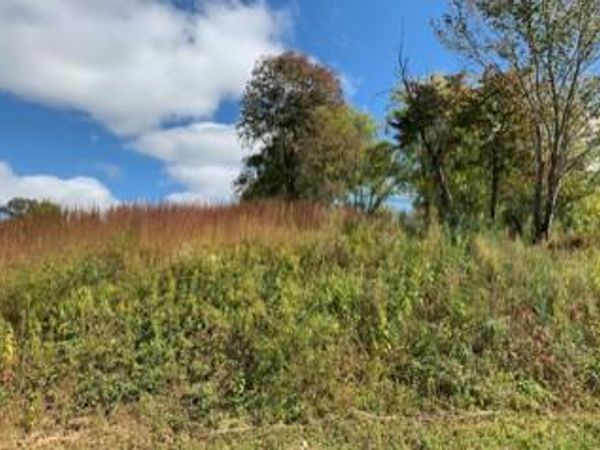616 Thompson Creek Ln Lot 73, Cookeville, TN 38506