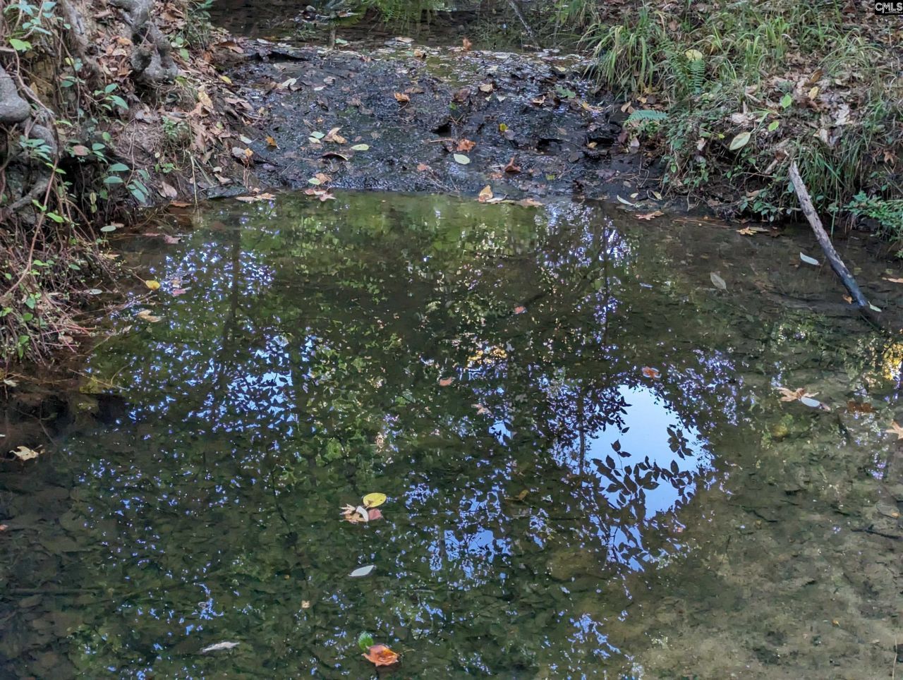 532 Pomaria Street Photo 17