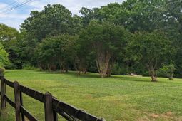 532 Pomaria Street photo 4