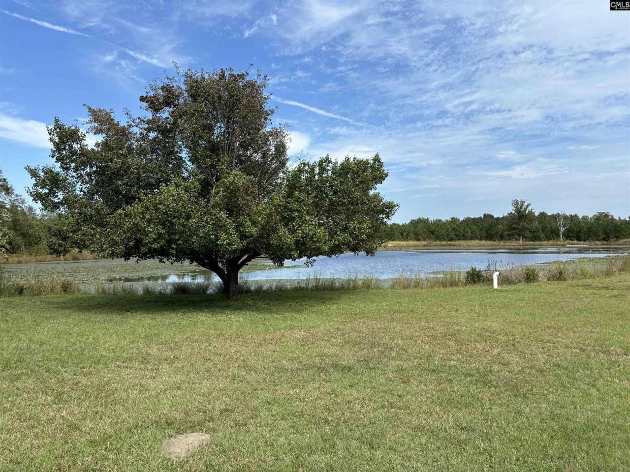 1308 Fire Tower Road Photo 13