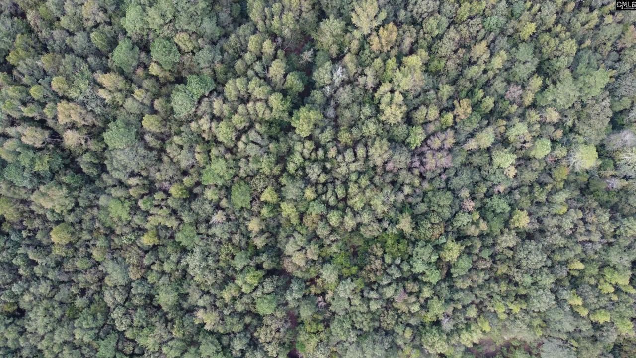 1308 Fire Tower Road Photo 18