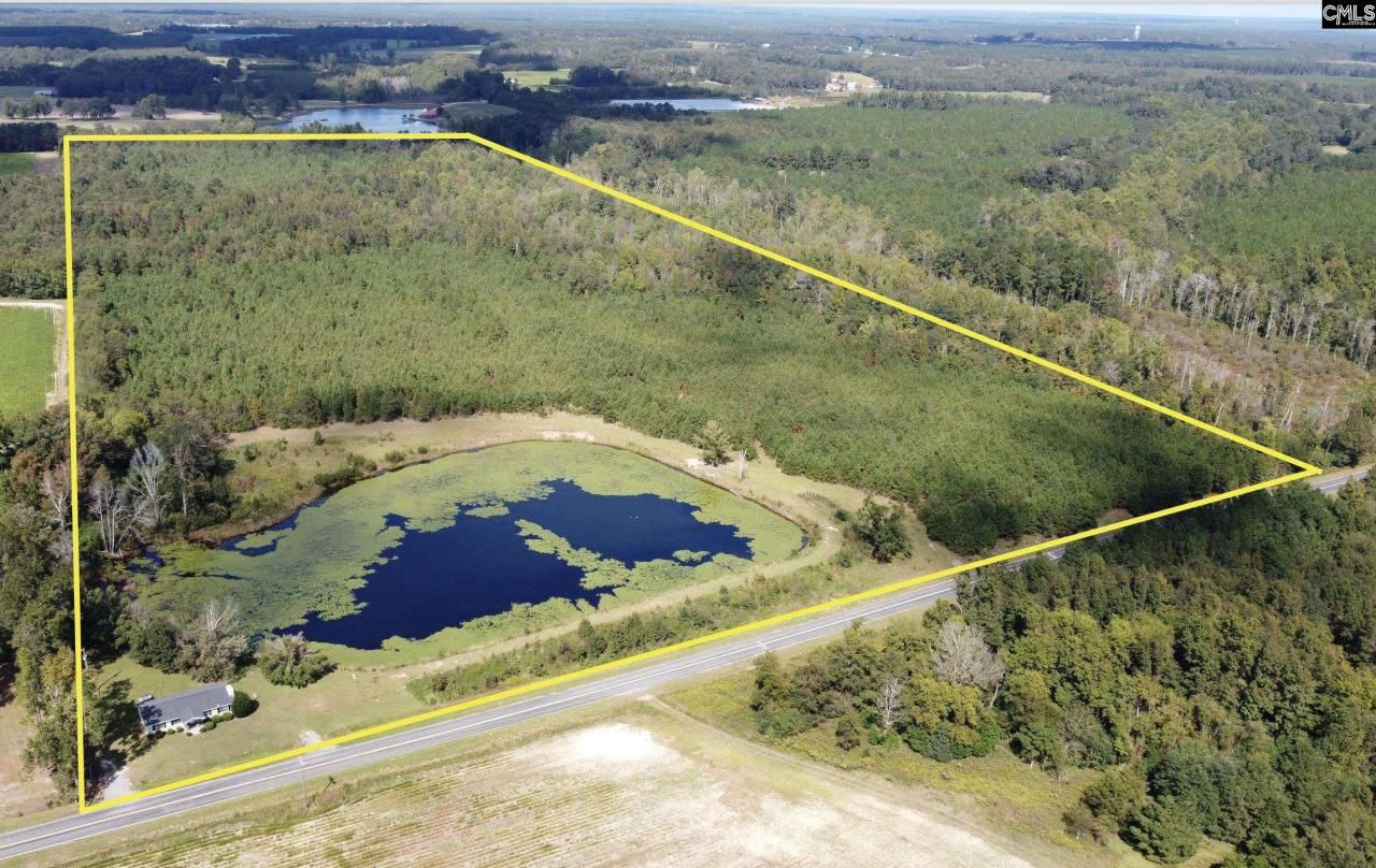 1308 Fire Tower Road Photo 19