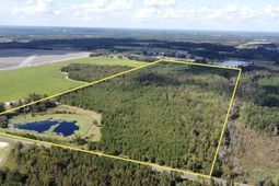 1308 Fire Tower Road photo 4