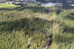 1308 Fire Tower Road photo 4