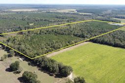 1308 Fire Tower Road photo 4