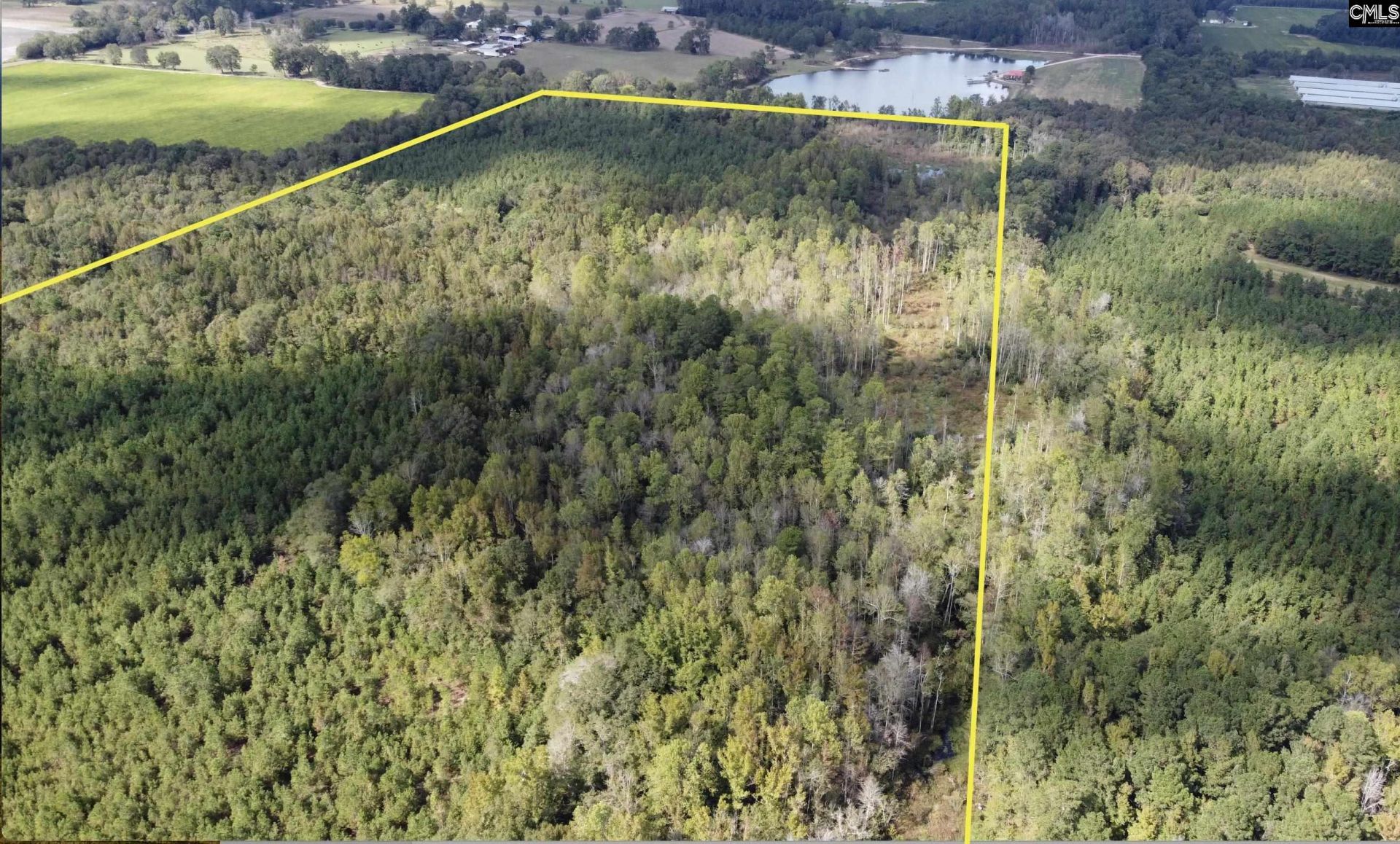 1308 Fire Tower Road Photo 4