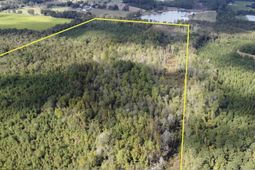 1308 Fire Tower Road photo 4