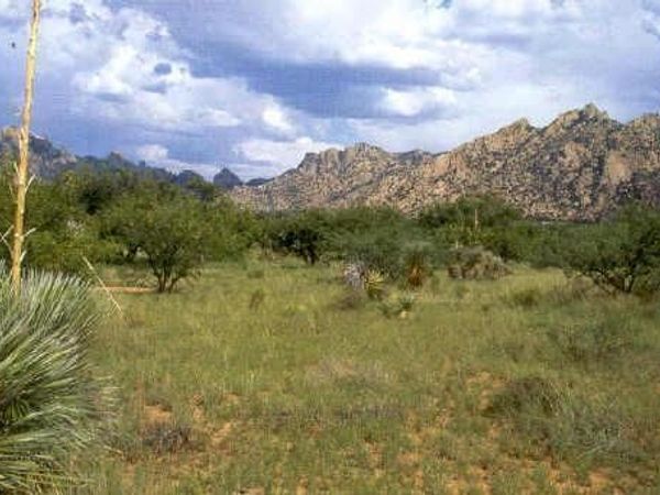 000 E COUGAR Trail, Unit 96, Saint David, AZ 85630