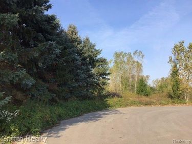 00 COUNTRY CORNER Drive, Handy Twp, MI 48836