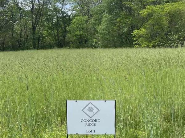 4001 Concord Ln, Wapello, IA 52653