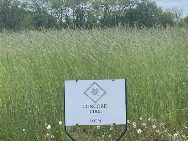 4005 Concord Ln, Wapello, IA 52653