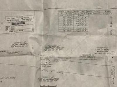 0 Mauss Hill Road, Adams Run, SC 29426