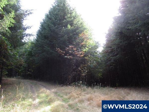 00 NW Crane (2) Rd, Yamhill, OR 97148