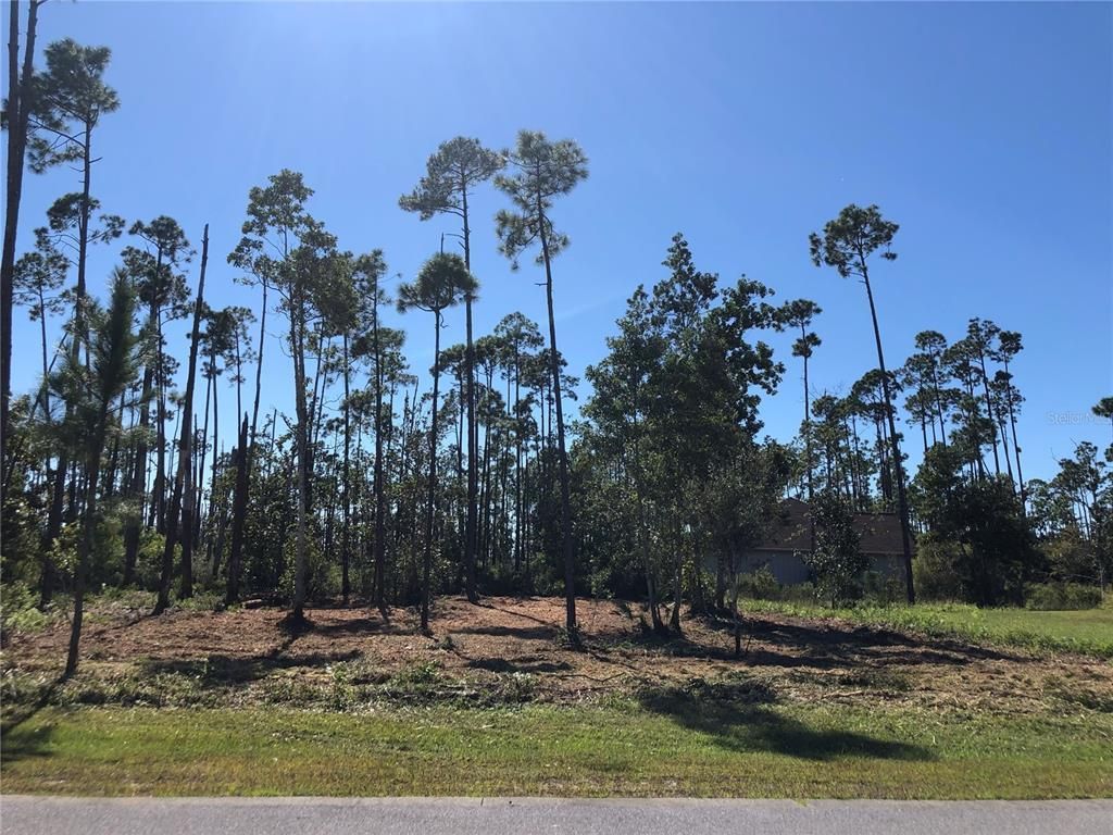 1016 Tidewater Lane, Panama City, FL 32404 Photo