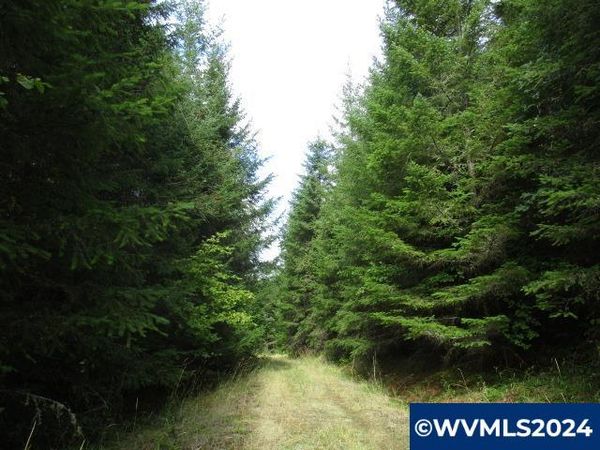 0 Belinger Scale (1) Rd, Lebanon, OR 97355