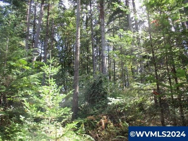 000 Bellinger Scale (3) Rd, Lebanon, OR 97355