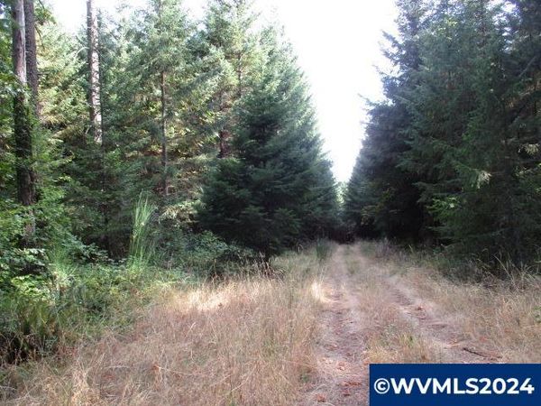 000 NW Crane (3) Rd, Yamhill, OR 97148