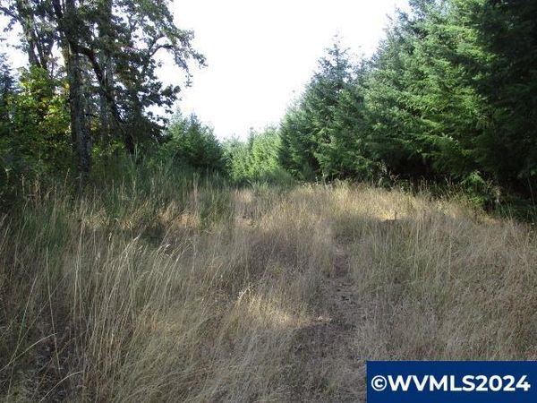 0000 NW Crane (4) Rd, Yamhill, OR 97148