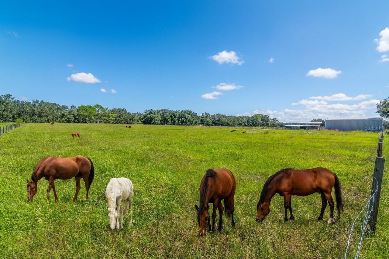 3933 Mammoth Grove Road, Lake Wales, FL 33898 Photo