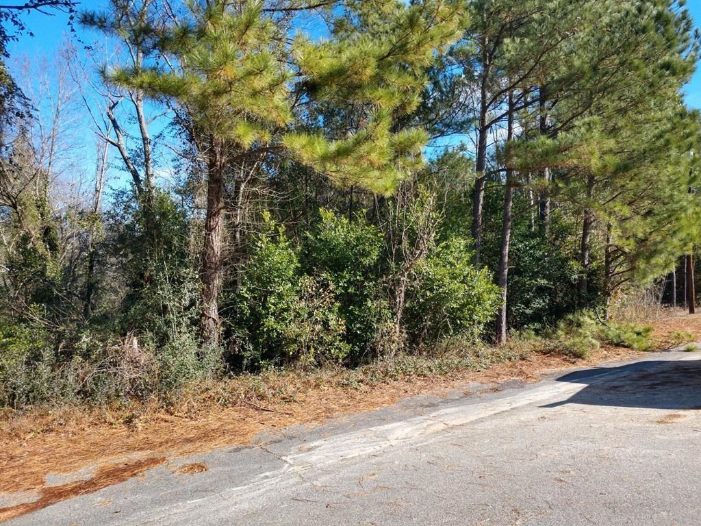 0 Paddock Bend Photo 3