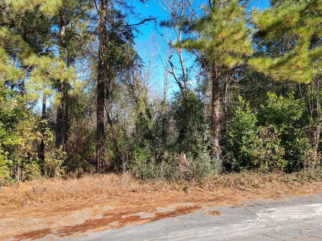 0 Paddock Bend Photo 4