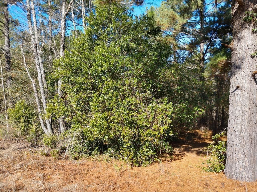 0 Paddock Bend Photo 6