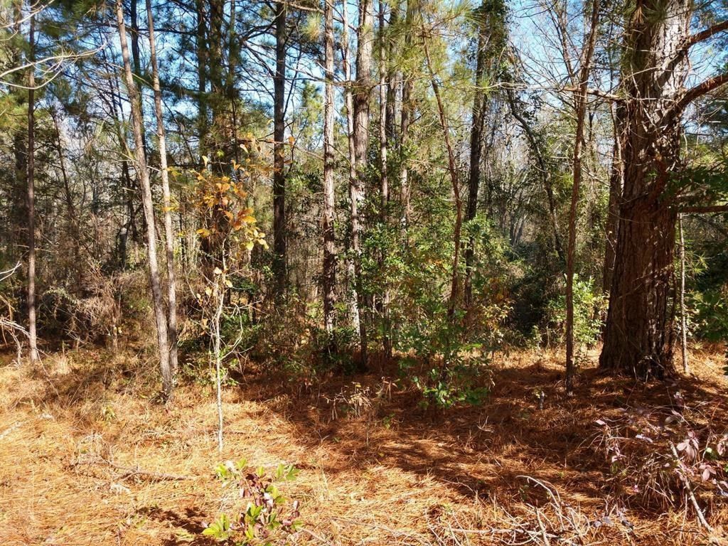 0 Paddock Bend Photo 7