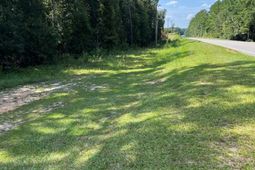 00 Columbia Road photo 4