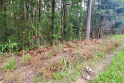 0 2nd Texas Road photo 4