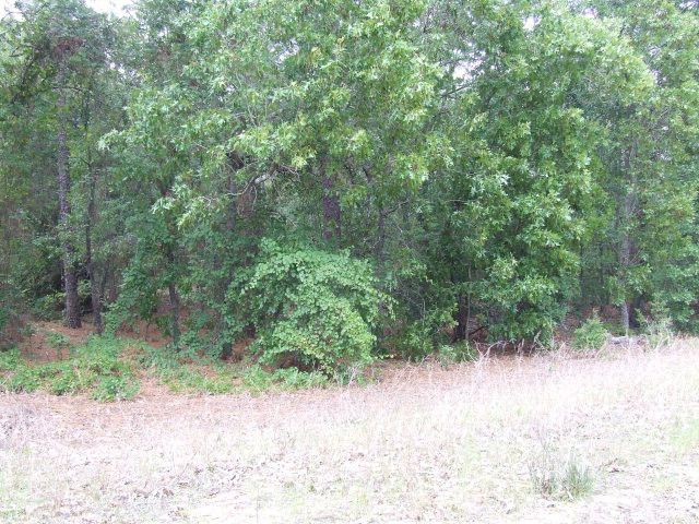 1412 Old State Road Photo 1