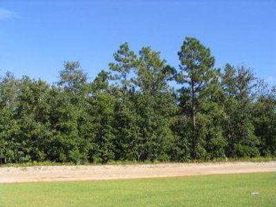 0 Shore Drive, Unit Lot 36, Orangeburg, SC 29118