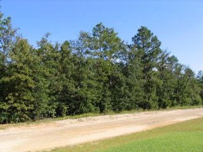 0 Shore Drive, Unit Lot 35, Orangeburg, SC 29118