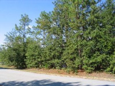 0 Shore Drive, Unit Lot 30, Orangeburg, SC 29118