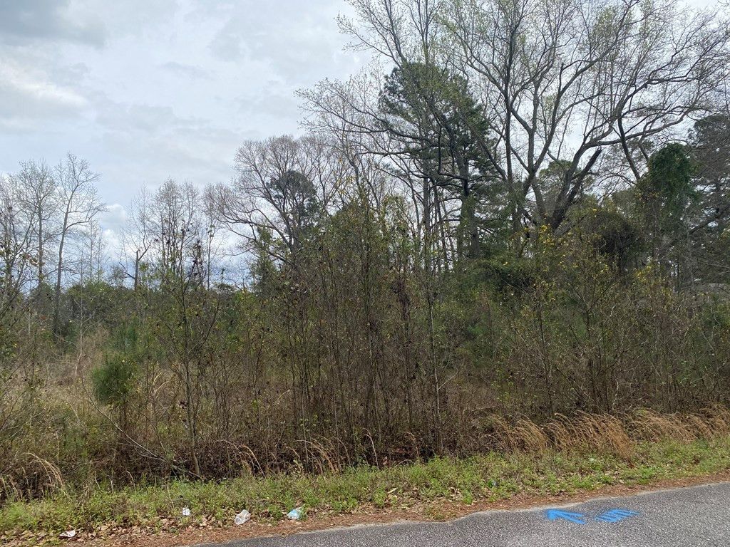 927 Rodney Road Photo 2