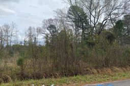 927 Rodney Road photo 4