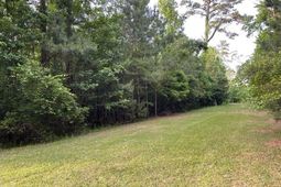 000 Belle Acres Drive photo 4